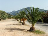 palea_epidauros_05